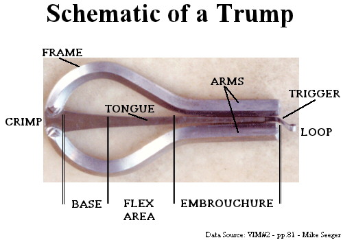 Schematic of a Trump